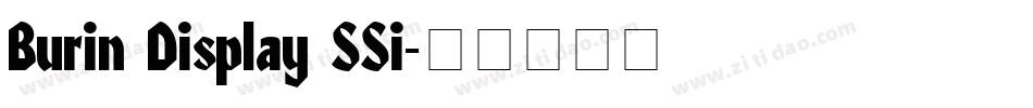 Burin Display SSi字体转换